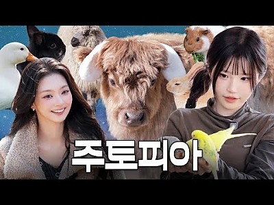 게시물 타입 아이콘