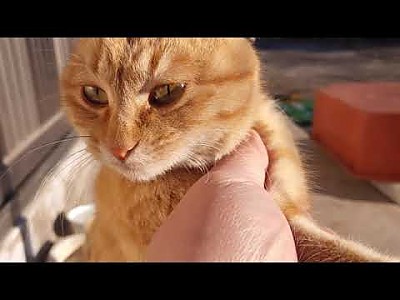 게시물 타입 아이콘