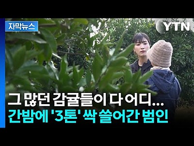 게시물 타입 아이콘