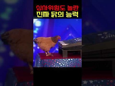 게시물 타입 아이콘