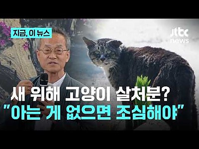 게시물 타입 아이콘