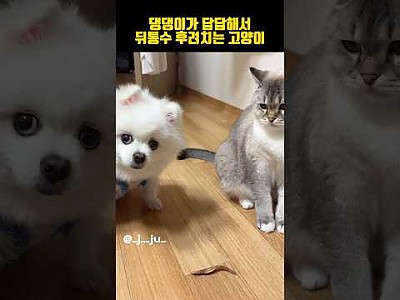 게시물 타입 아이콘