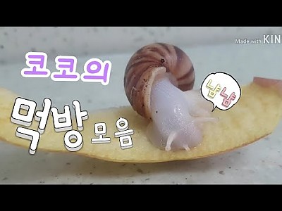 게시물 타입 아이콘