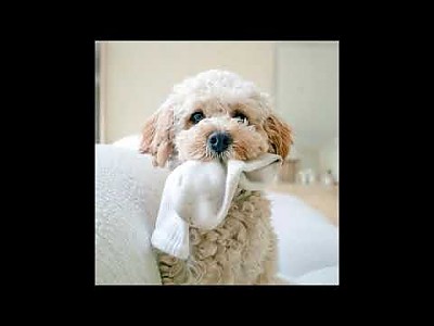 게시물 타입 아이콘