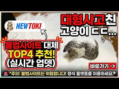 게시물 타입 아이콘