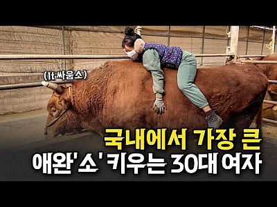 게시물 타입 아이콘