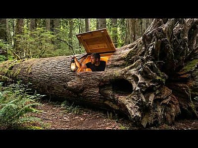 게시물 타입 아이콘