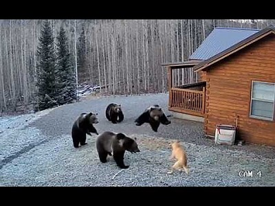 게시물 타입 아이콘