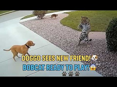 게시물 타입 아이콘