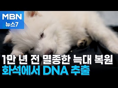 게시물 타입 아이콘