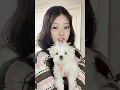 게시물 타입 아이콘