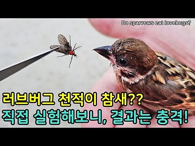 게시물 타입 아이콘