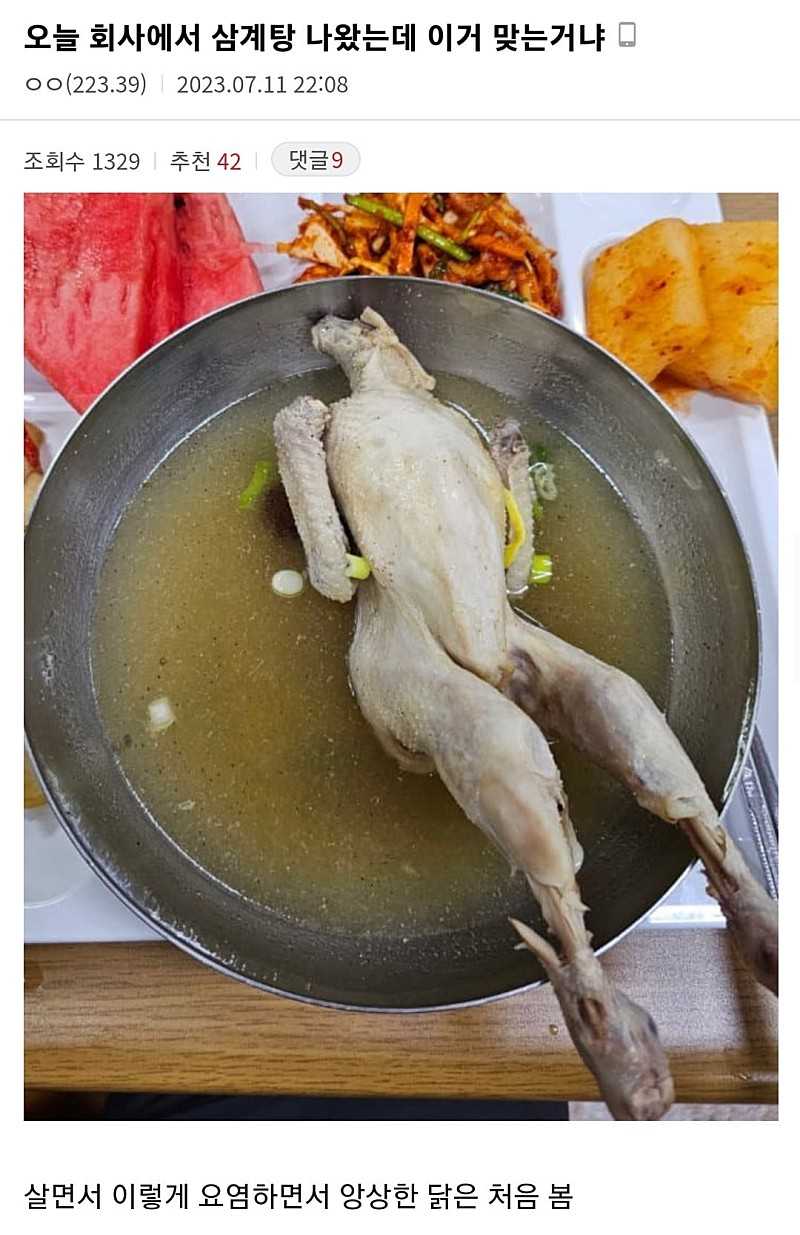 본문 이미지