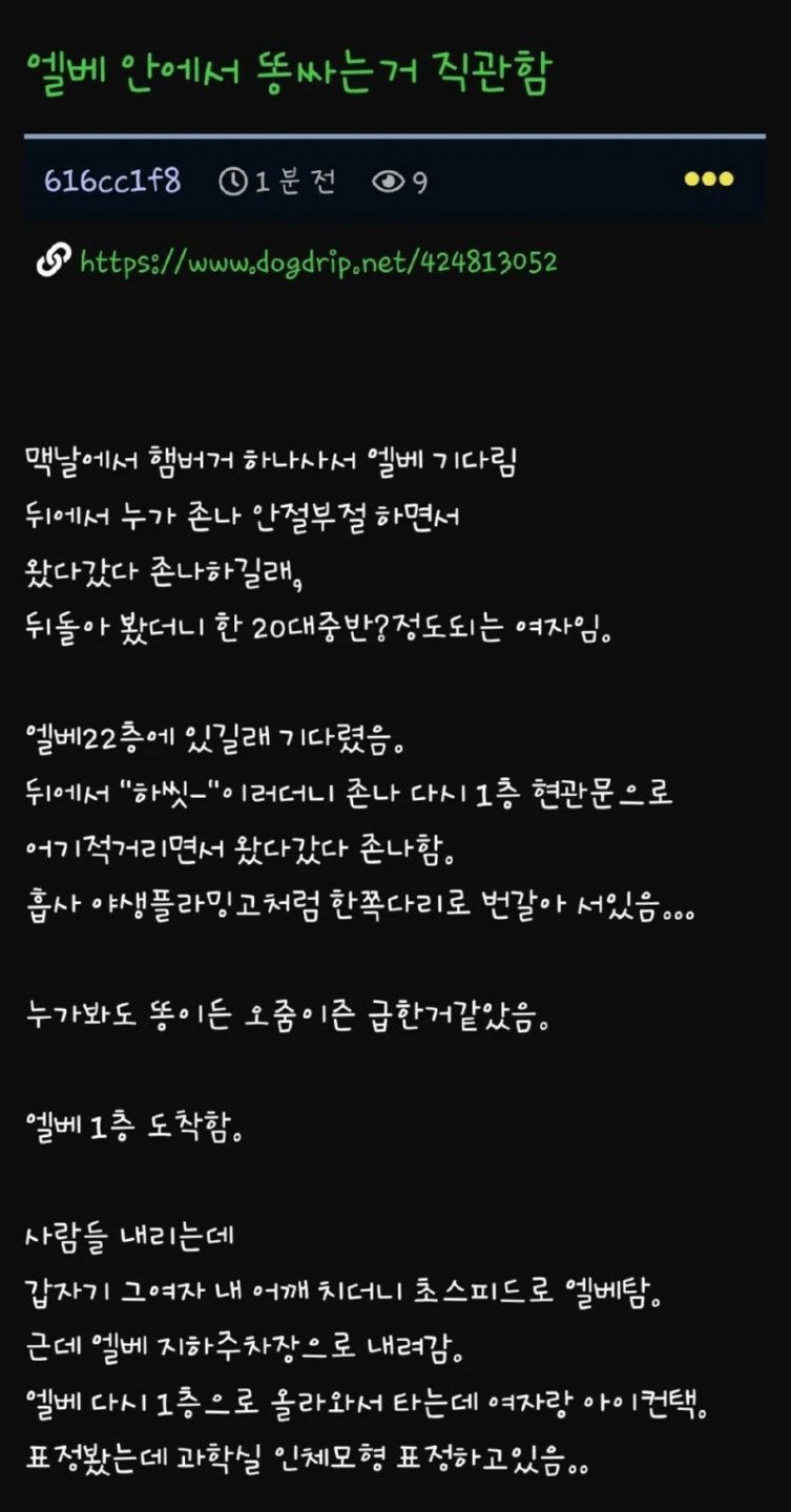 본문 이미지