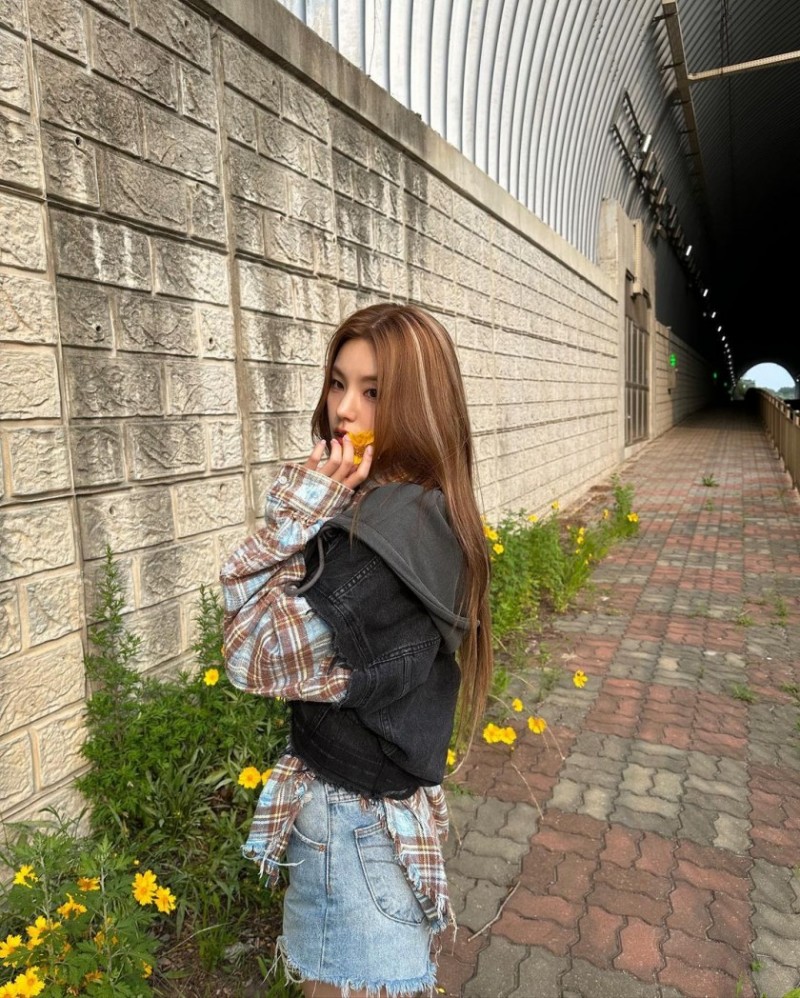 본문 이미지