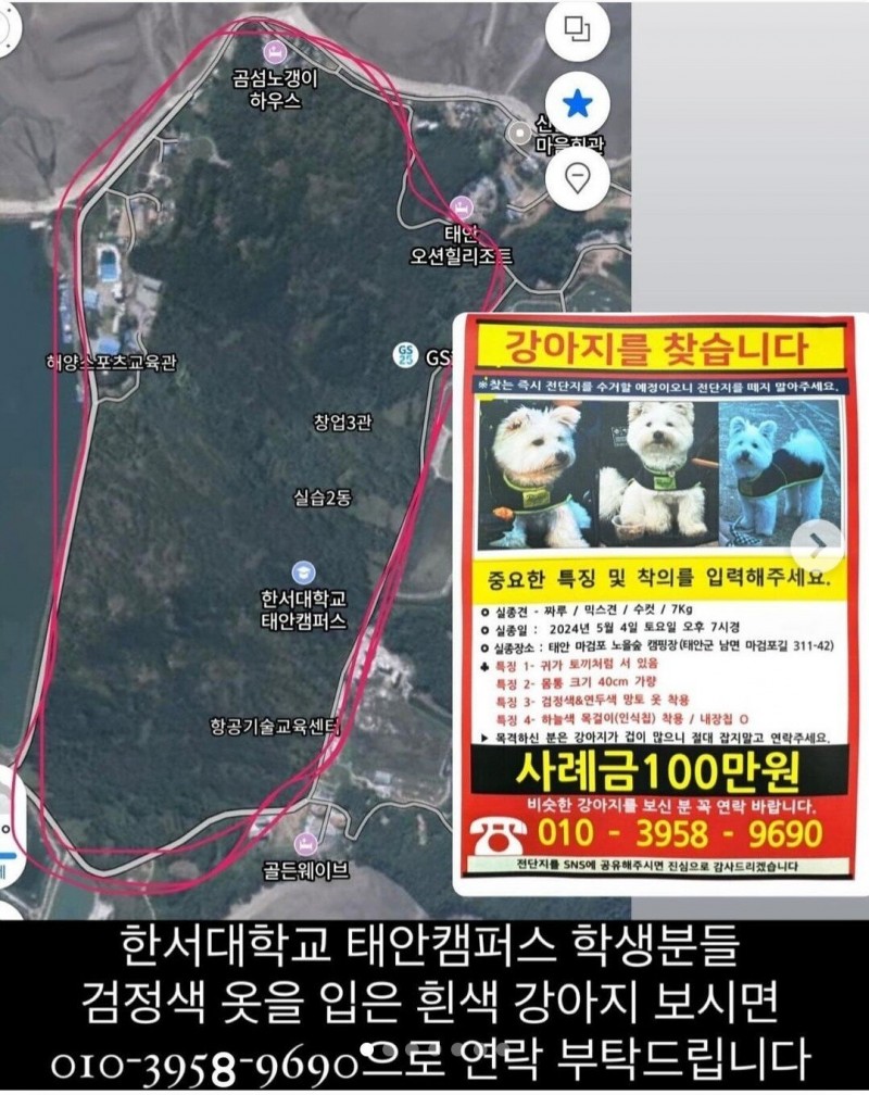 본문 이미지