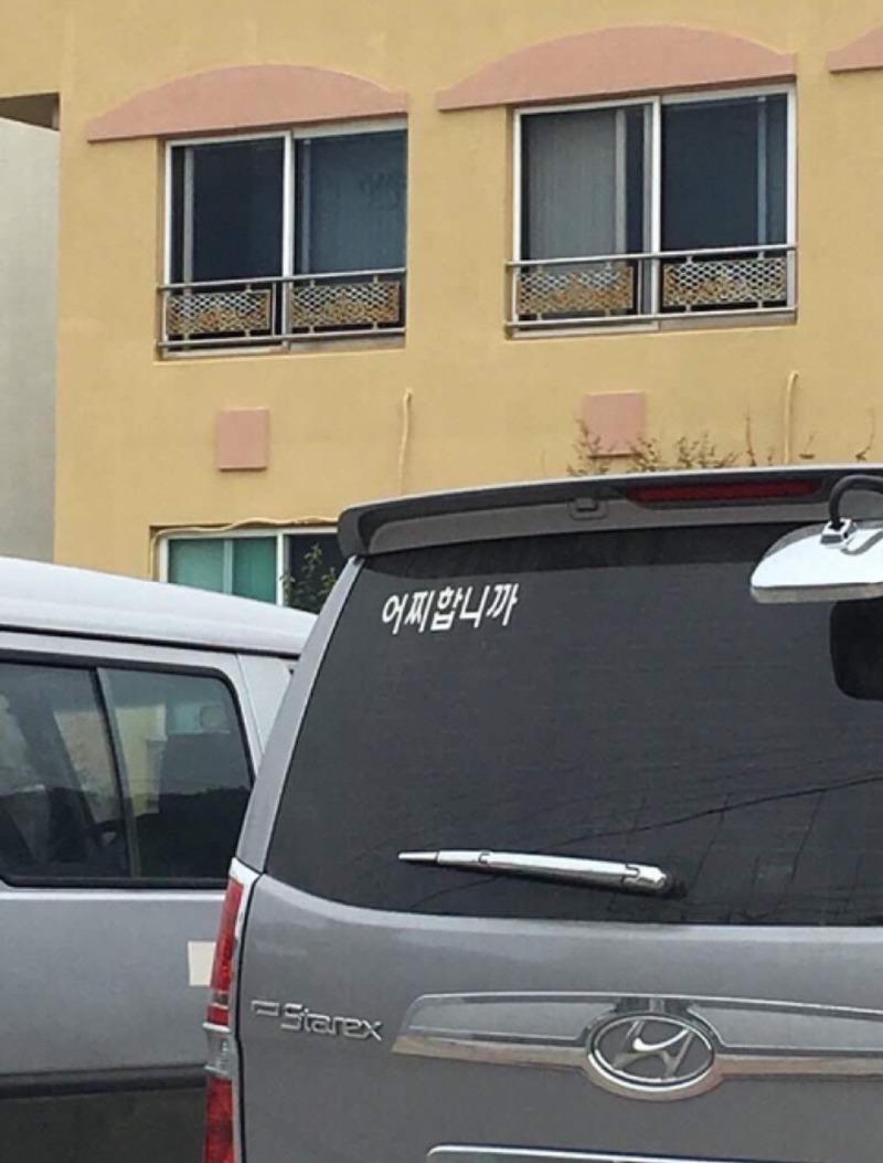 본문 이미지