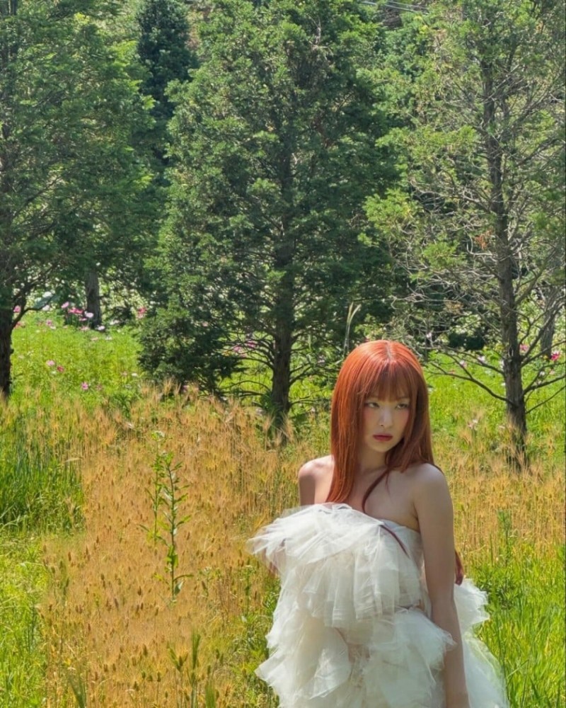 본문 이미지