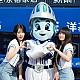 게시물 타입 아이콘