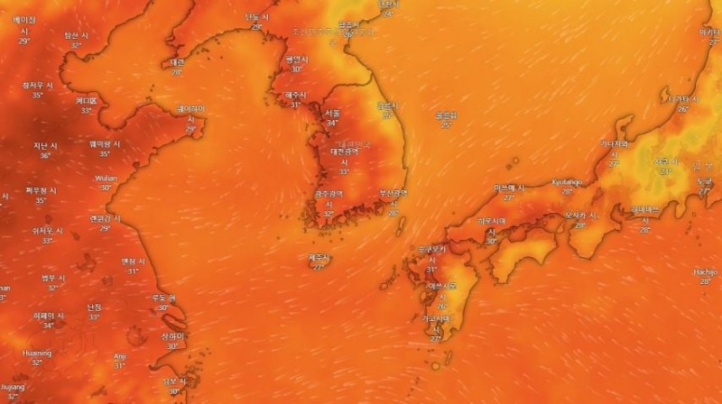 본문 이미지