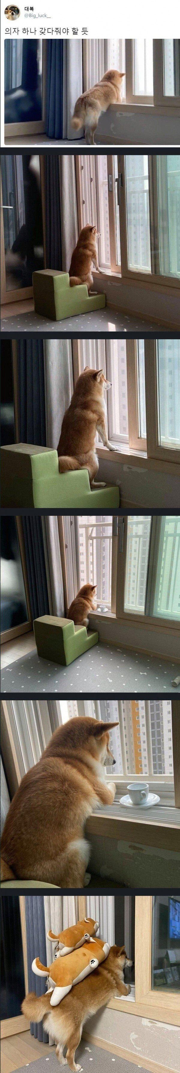 본문 이미지