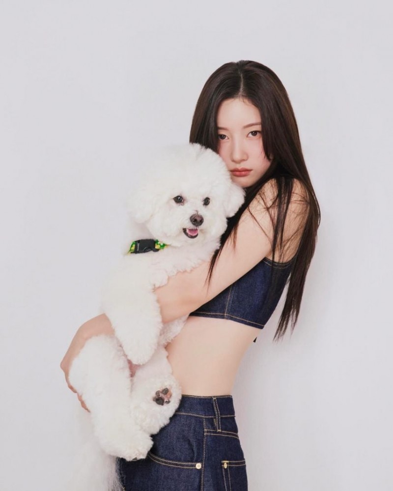본문 이미지