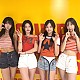 게시물 타입 아이콘