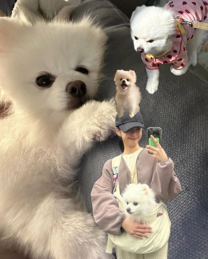 본문 이미지