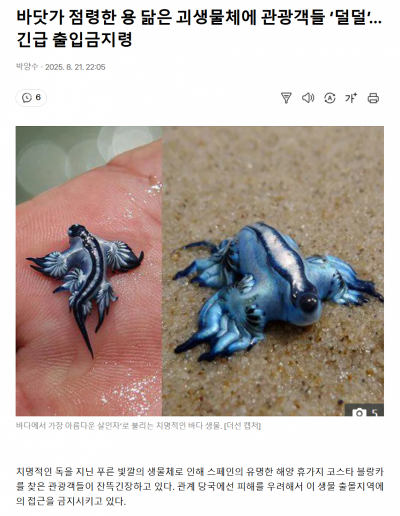본문 이미지