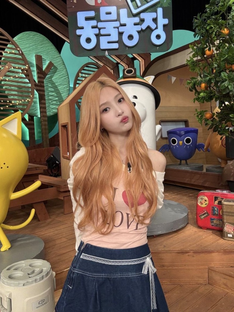 본문 이미지