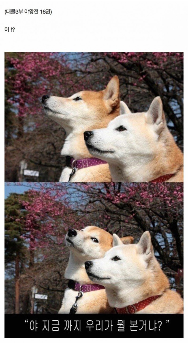 본문 이미지