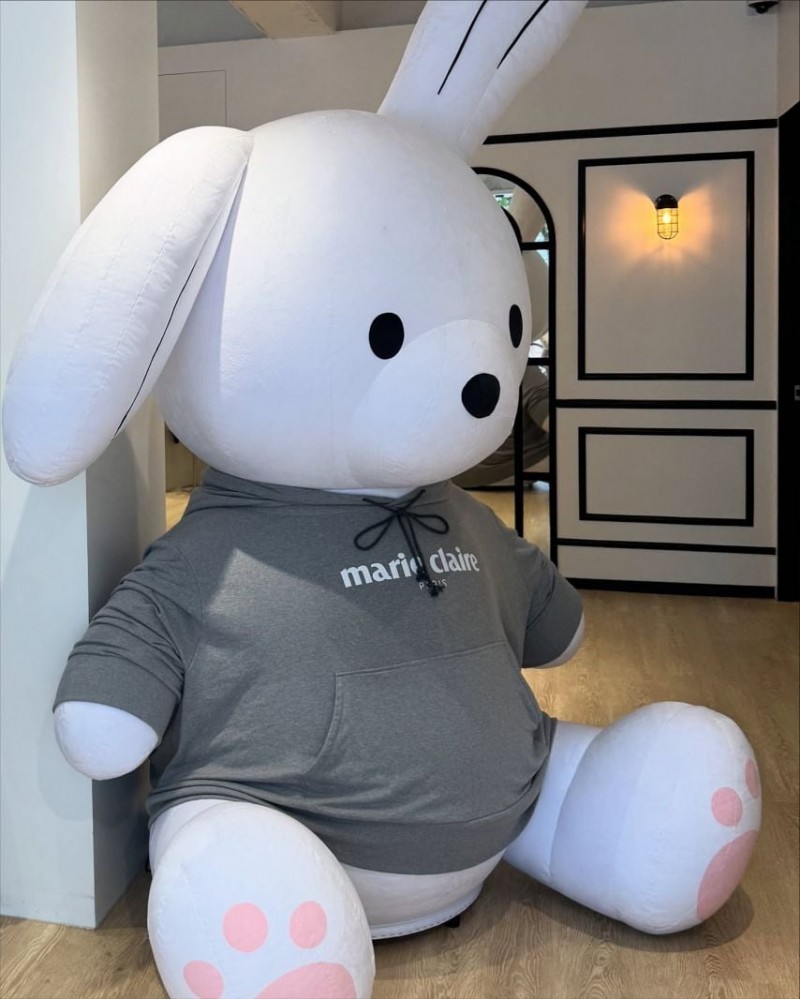 본문 이미지