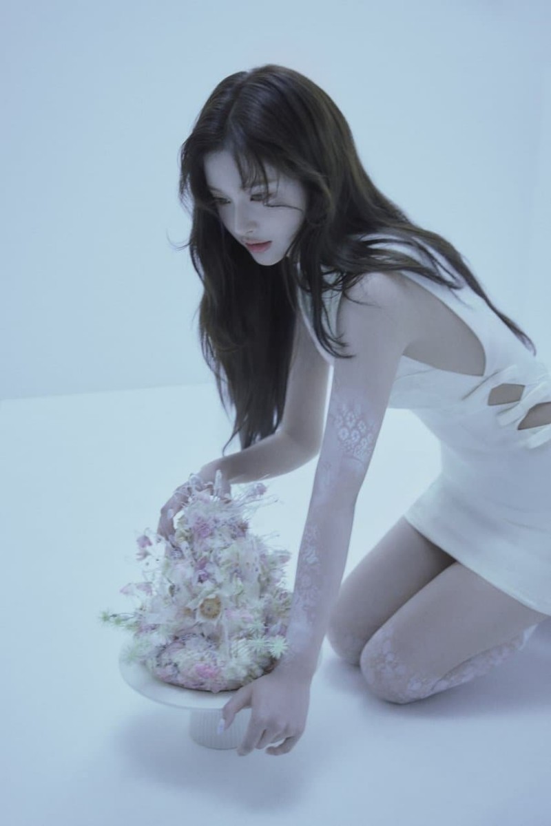 본문 이미지