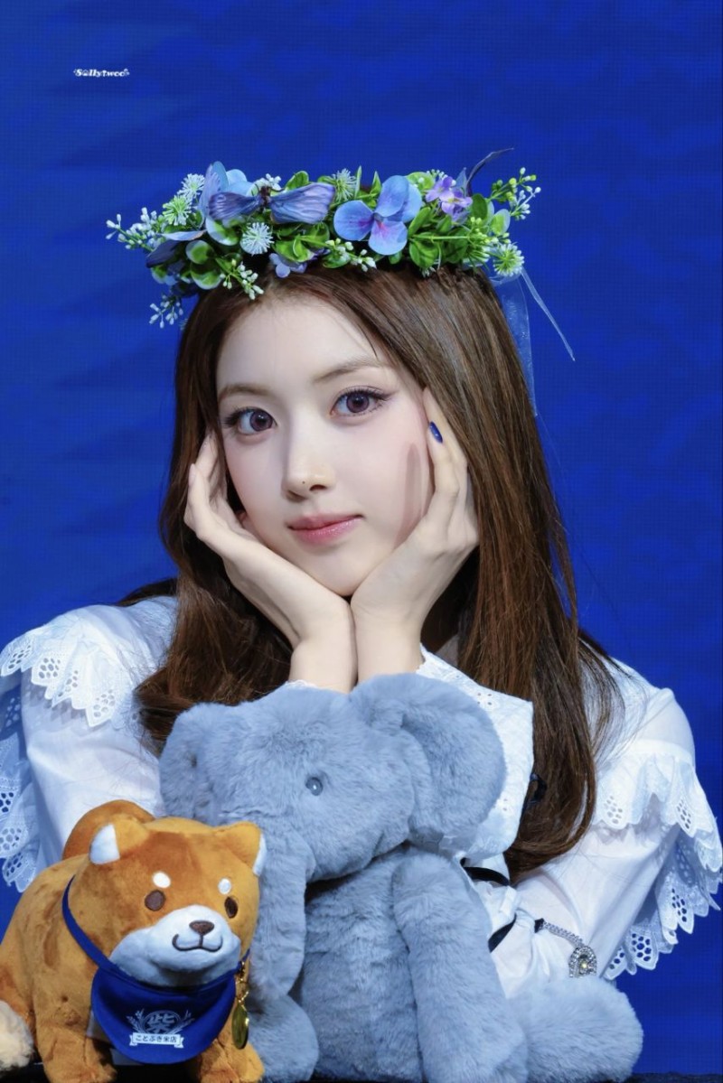 본문 이미지