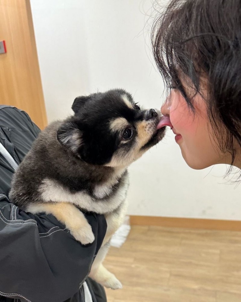 본문 이미지