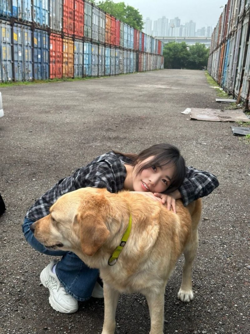 본문 이미지