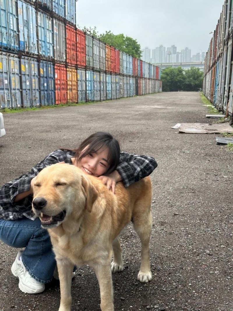 본문 이미지