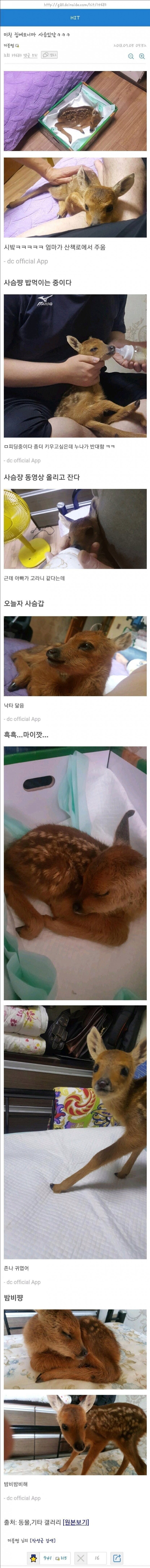 본문 이미지