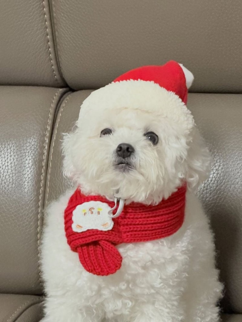 브브걸 은지 SNS