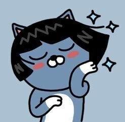 고양이 미용 참사