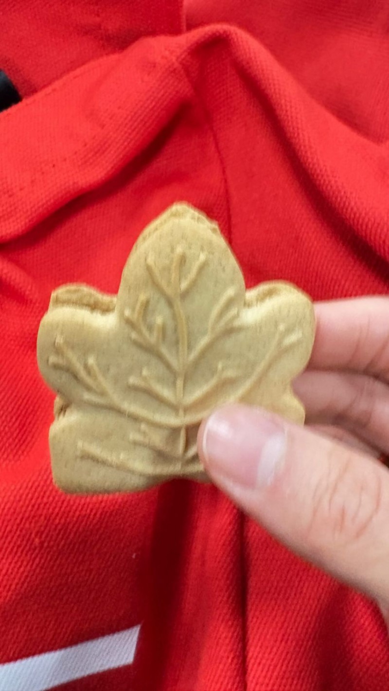 트와이스 인스타-지효,채영