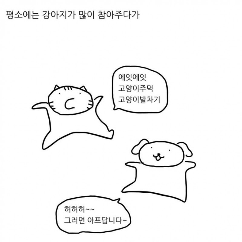 급양만와] 강아지랑 고양이는 사실 사이가 좋대.manhwa