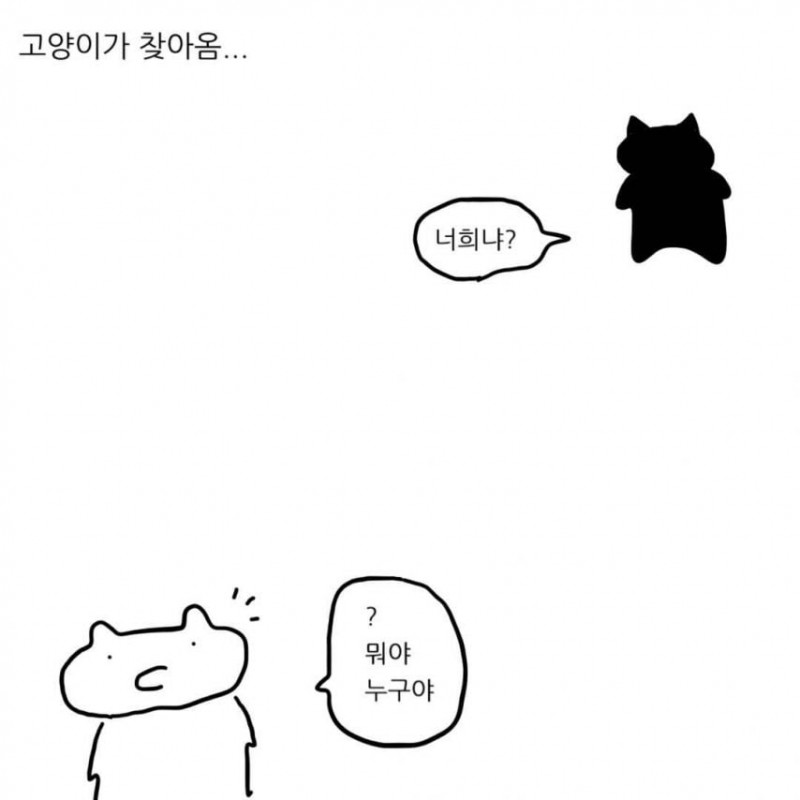 급양만와] 강아지랑 고양이는 사실 사이가 좋대.manhwa