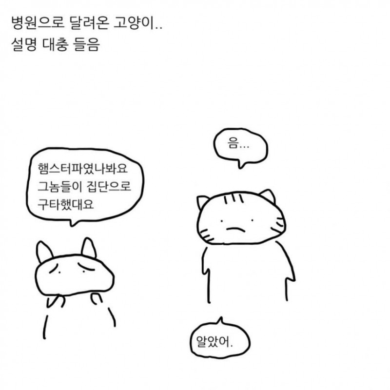급양만와] 강아지랑 고양이는 사실 사이가 좋대.manhwa