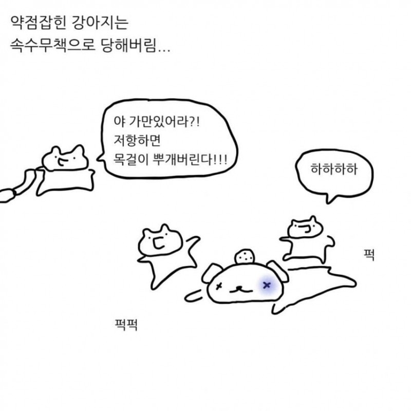 급양만와] 강아지랑 고양이는 사실 사이가 좋대.manhwa