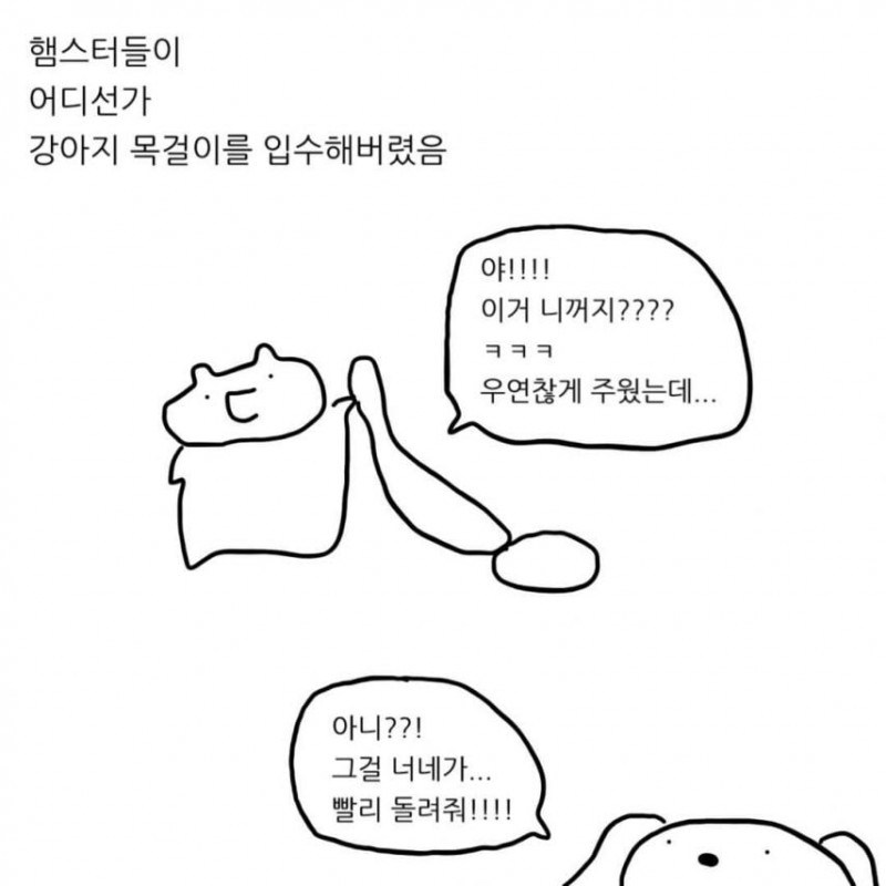 급양만와] 강아지랑 고양이는 사실 사이가 좋대.manhwa