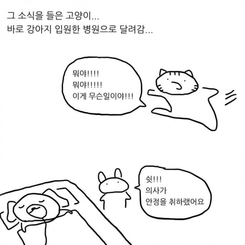 급양만와] 강아지랑 고양이는 사실 사이가 좋대.manhwa
