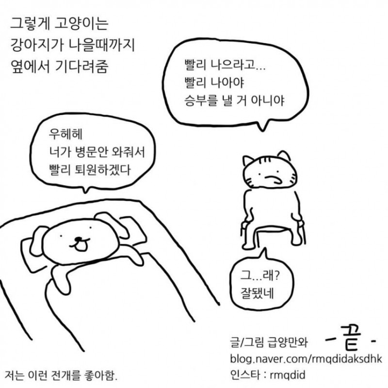 급양만와] 강아지랑 고양이는 사실 사이가 좋대.manhwa