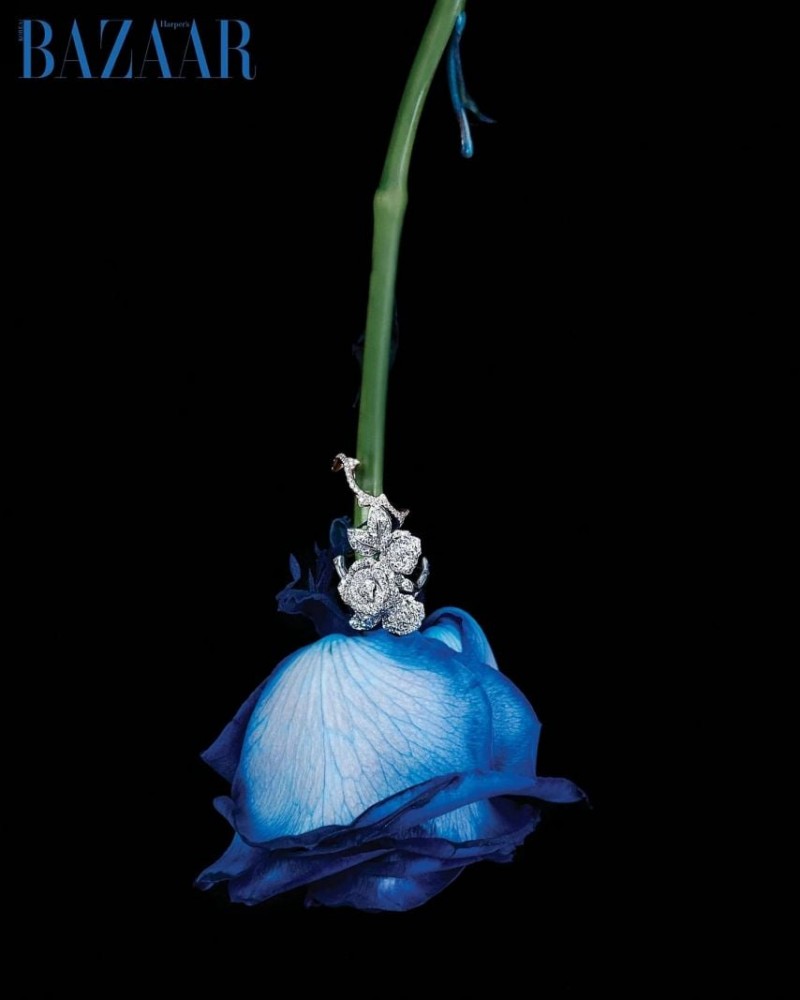 연느 김연아 인별