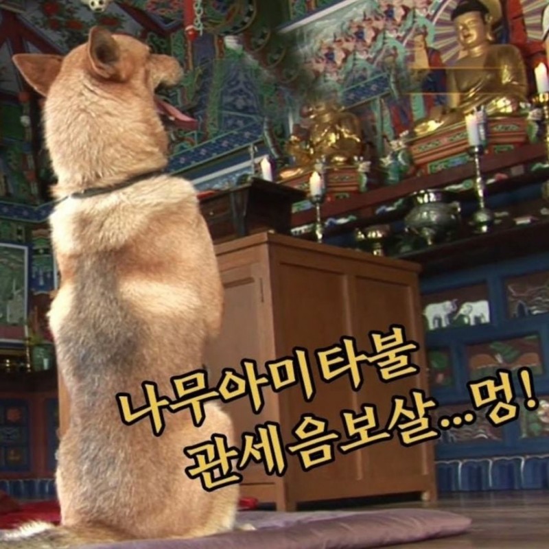 르세라핌 허윤진